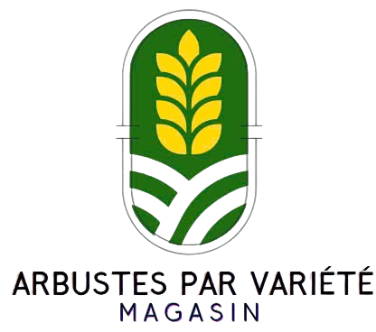 Arbustes par variété Magasin